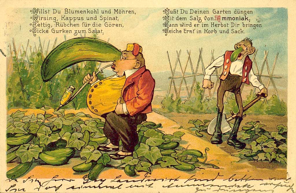 © Badische Landesbibliothek Karlsruhe Zu sehen ist die Karikatur von zwei Gärtnern in einem Gemüsegarten. Beide haben sie überdimensionale grüne Gurkennasen. Einer der beiden ist dünn und groß gewachsen, der andere kleiner und übergewichtig. Letzterer raucht eine Pfeife. Ergänzt wird das Bildmotiv durch nachfolgende Verse: "Willst Du Blumenkohl und Möhren, Wirsing, Kappus und Spinat, Eettig, Rübchen für die Gören, Dicke Gruken zum Salat. Mußt Du Deinen Garten düngen. Mit dem Salz von Ammoniak. Dann wird er im Herbst Dir bringen reiche Ernt' in Korb und Sack".